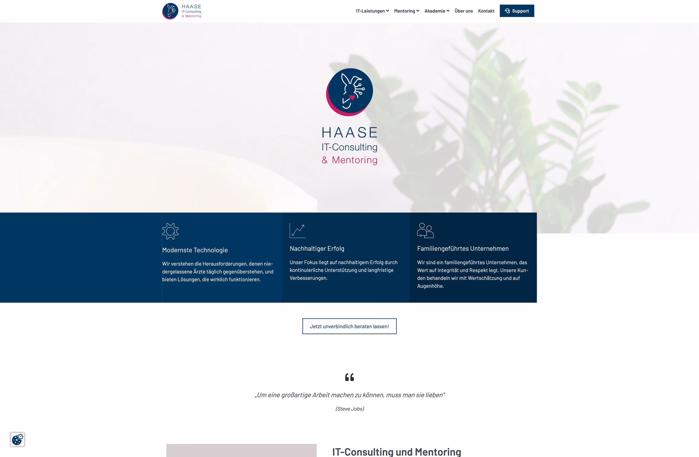 Projekt Haase IT Screenshot Website